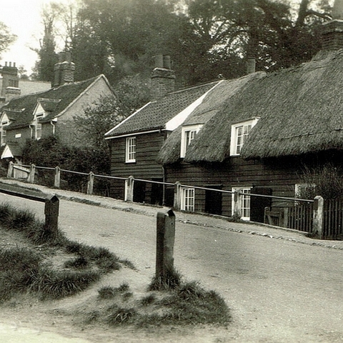 Cats Hill 5