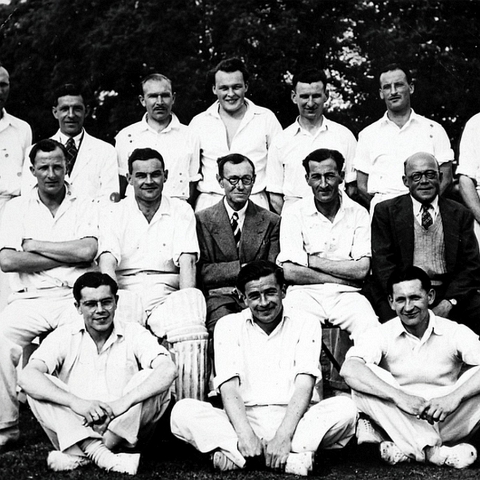 Cricket