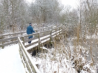 Regional Park, January 2013