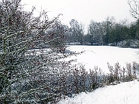 Regional Park, January 2013